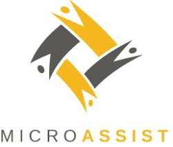Microassist